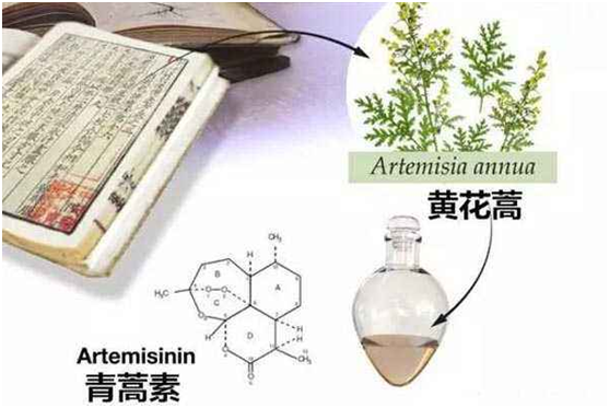 ob体育在线登录（APP）官方网站,：向中医药看齐，与世界共享中医药文化(图1)